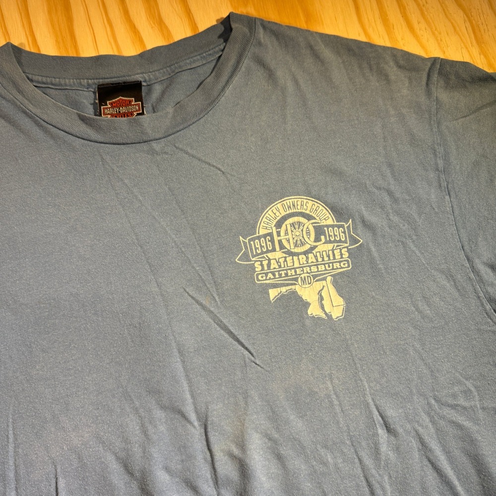 Harley-Davidson Men's Hog State Rally Graphic Tee Blu… - Gem